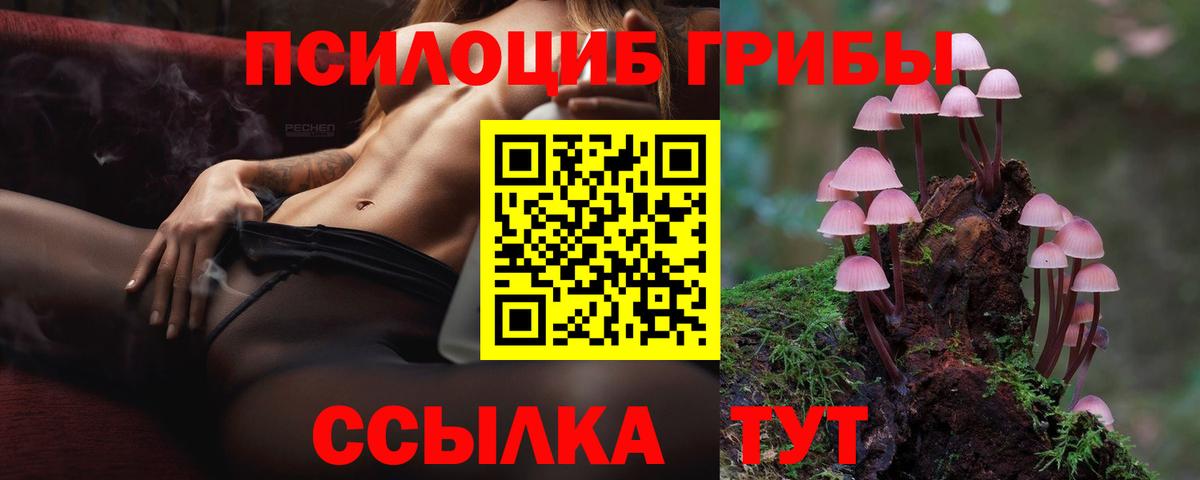 Дербент  Галлюциногенные грибы ЛСД  Галлюциногенные грибы мицелий  наркотики  Вход с VPN 