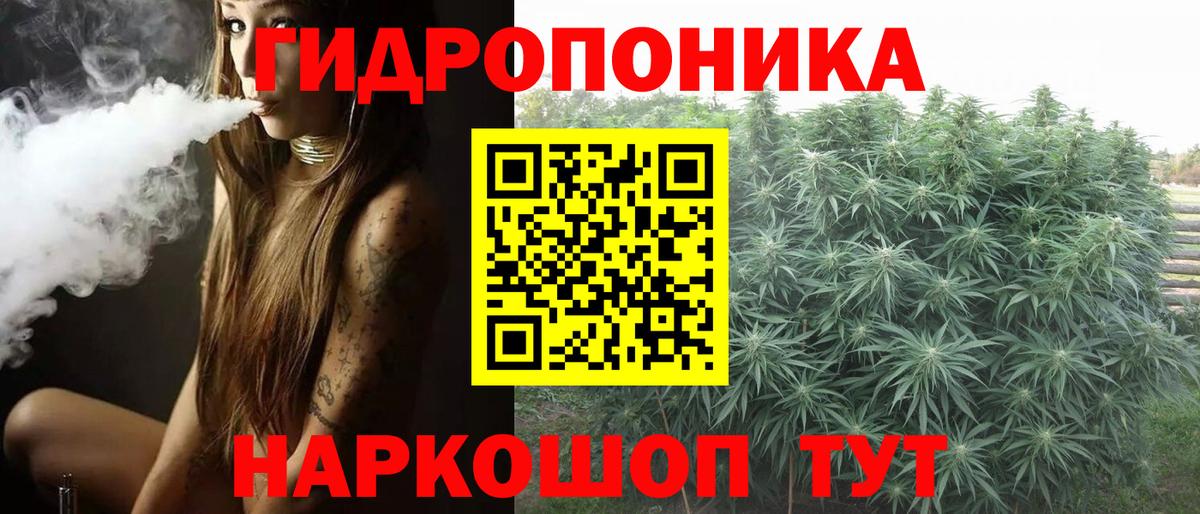 Бошки Шишки конопля  Канабис AK-47  МАРИХУАНА семена  Вход с VPN  Канабис конопля  Дербент 